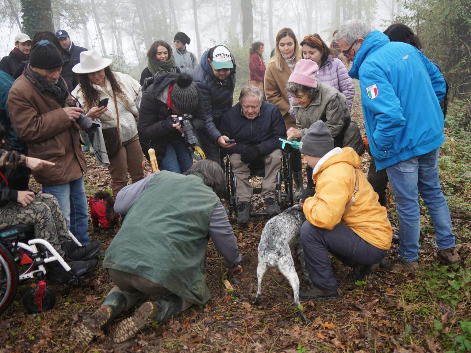 Percorsi senza barriere tra gli alberi della tartufaia: un'esperienza unica per tutti, senza limiti